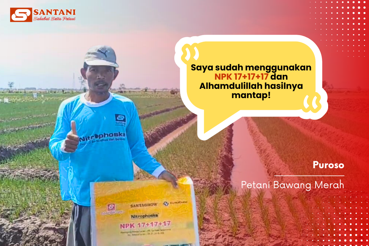 Pak Puroso - Petani
